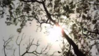 What is and What Should Never Be by Led Zeppelin