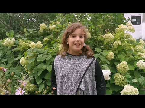 "Clar cu CLARA" - episodul 11