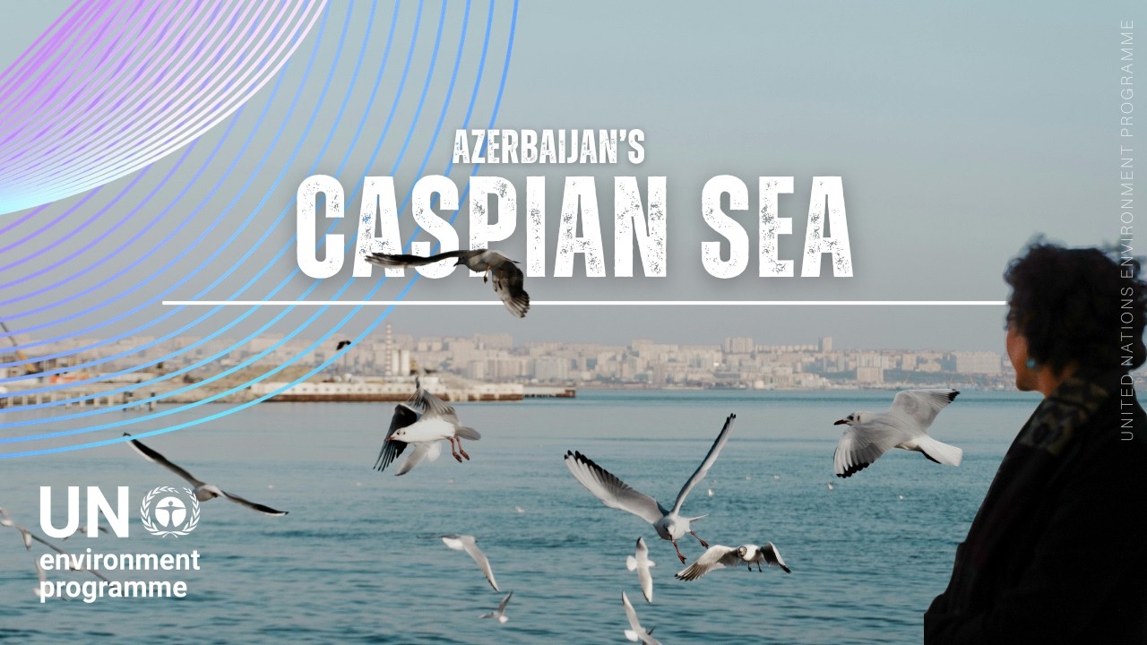 Why Protecting the Caspian Sea Matters More Than Ever