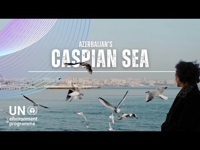 Why Protecting the Caspian Sea Matters More Than Ever