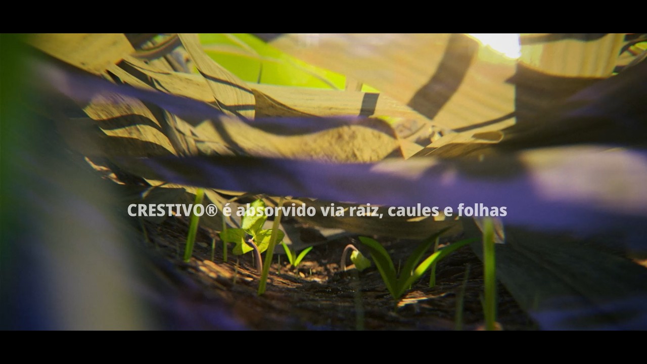 Você sabe como CRESTIVO® atua no controle  de plantas daninhas?