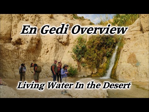 En Gedi, Israel: Living Water In the Desert, David's Hideout, Masada, Dead Sea, Oasis, Jer. 2:13