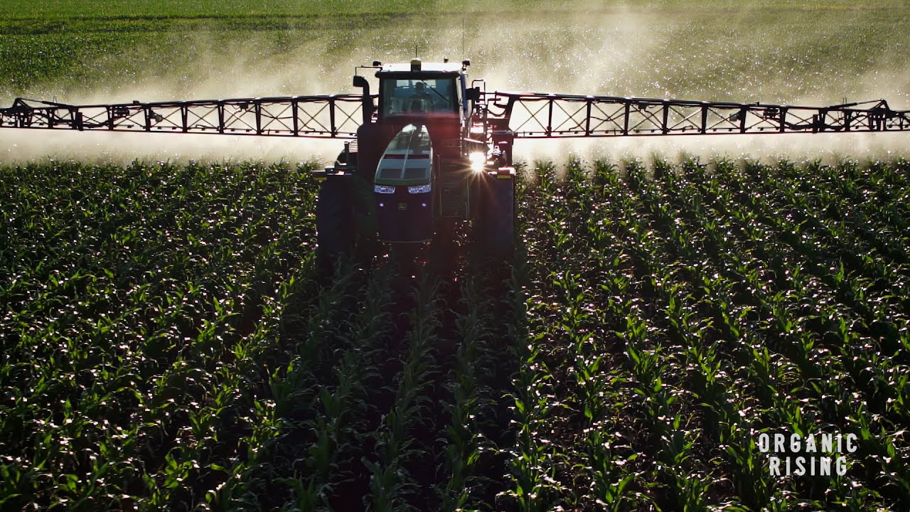 #1 Reason Why People Buy Organic