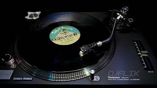 Free Style – The Party Has Begun 1984