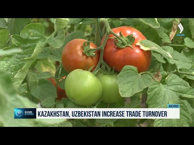 Kazakhstan, Uzbekistan increase trade turnover
