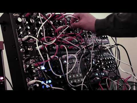 Make Noise BnG Shared System Plus - Bidness
