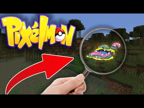 THE HUNT FOR THE AOLOAN GRIMER | PIXELMON