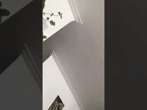 May 1, 2020. 12:15PM