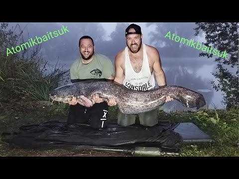 how to catch big catfish