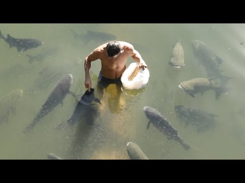 Morador de Alta Floresta viraliza nas redes sociais e se torna 