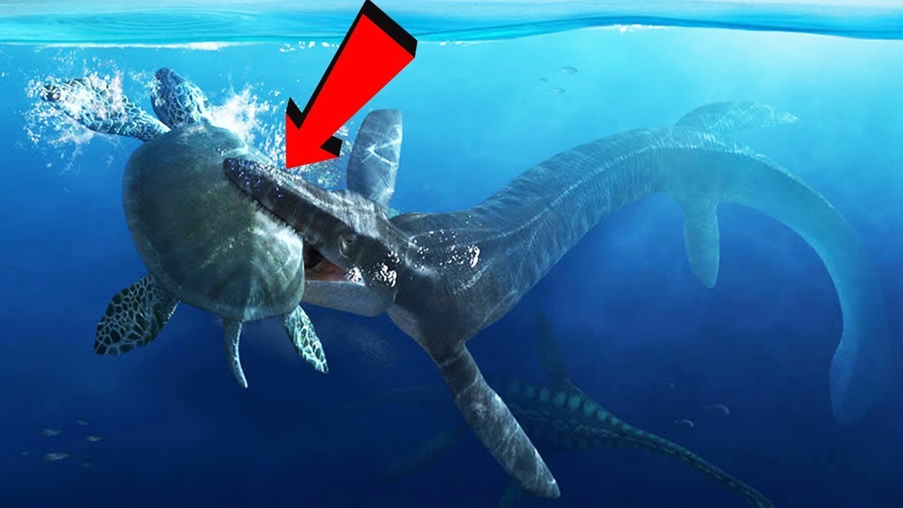 Animais extintos que são extremamente bizarros