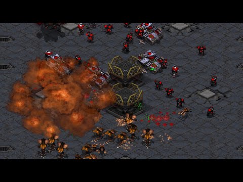 SHINE vs SSAK Ladder Series!  - Starcraft Broodwar