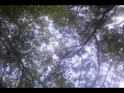 Occasionally - Ocasionalmente - 時折(Tokiori) - 때때로 (ttaettaelo)