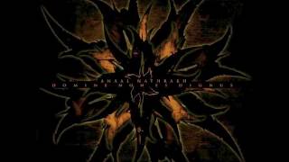 Anaal Nathrakh - Domine Non Es Dignus [Full Album]