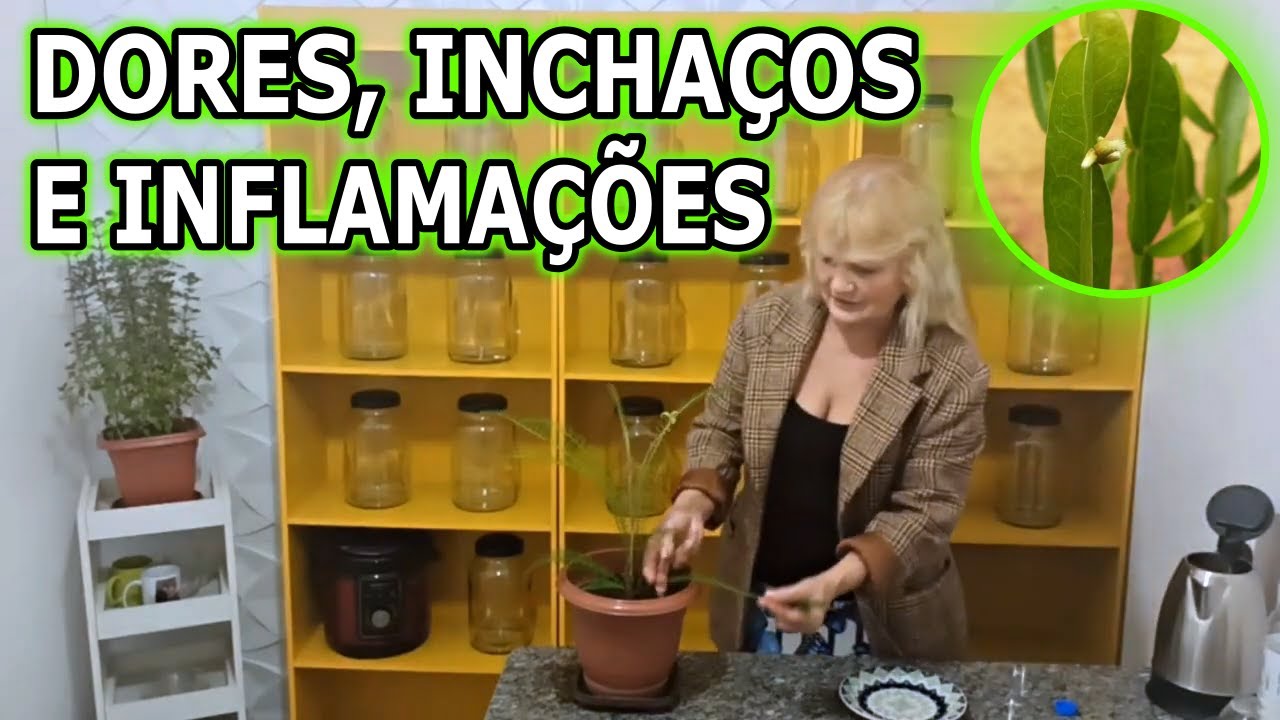 Má Circulação, Inflamações, Reumatismo, Gota e Dores no Corpo #Remédio 💖 MARILENE SARAH FIALHO