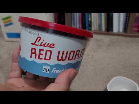 Tiny Worm bin indoor for free | Vermicompost Worm Farm | For beginner