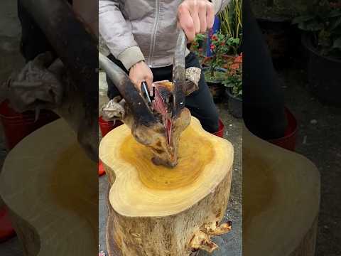 Goats Head 😱 Cutting Skills By Professional Cutter || #shots