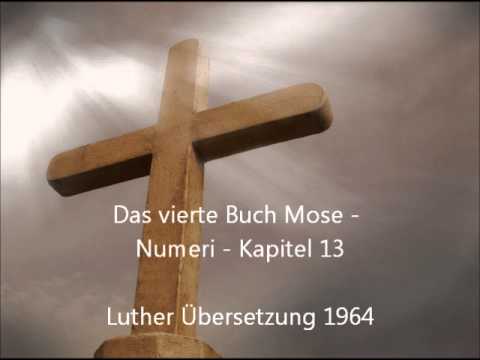 Das vierte Buch Mose - Numeri - Kapitel 13 [LuÜ]