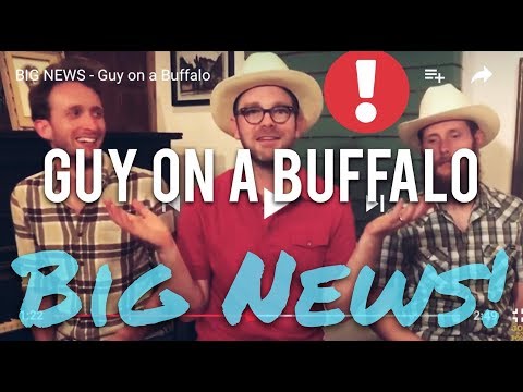 BIG NEWS - Guy on a Buffalo