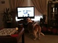 Peeve Watching AFV