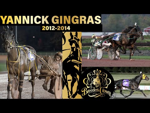 Yannick Gingras - Breeders Crown - Foiled Again + 2012-2014