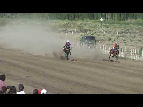 PORTEÑITO  "Club Hipico Cabo Alarcón"    Picun Leufu    20-11-2022