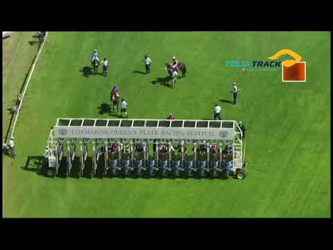 CAPTAIN'S RANSOM - 2022 Cartier Paddock Stakes (Grade 1)