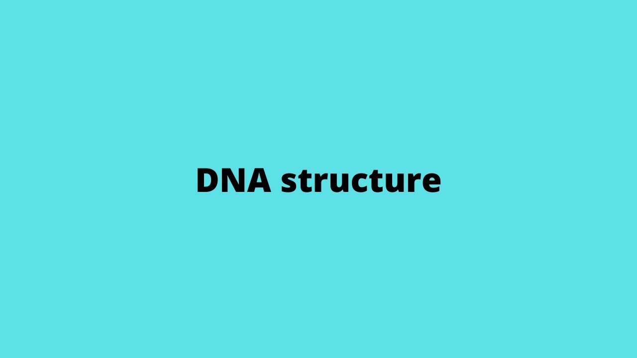 Dna structure  double helical model
