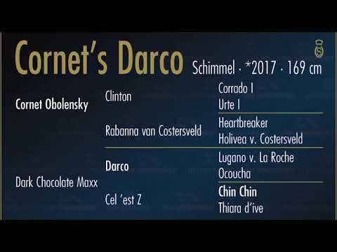 Cornet’s Darco ex. Chilli boy Maxx  by Cornet Obolensky - Dark Chocolate Maxx (Darco x Chin Chin)