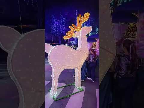 Alumbrado navideño en Sabaneta Antioquia 🤗 08/12/2025