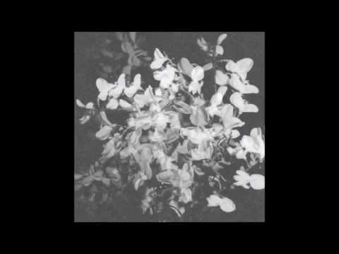 Josef Gaard - Obsidian Falls (Archivist Remix)