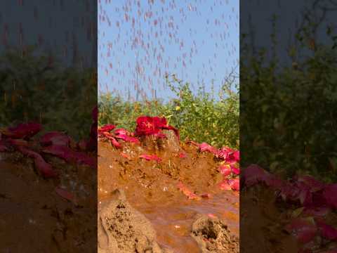 क़ब्र पर खून की बारिश🩸😱| #islamic #motivation #shorts #trending #shortfeed #viral