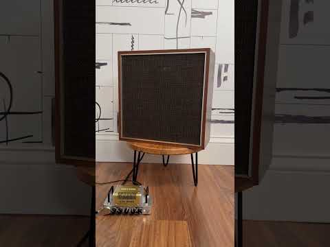 1971 Sony SS-100A 6.5" Guitar Cabinet • 8Ω • 7W Max image 5