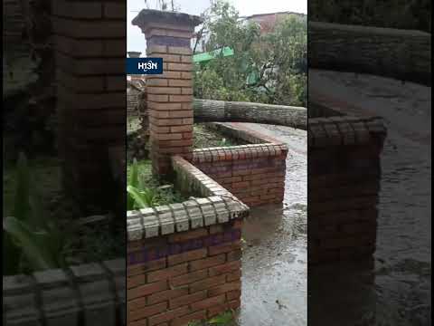 Vendaval provocó daños materiales en el corregimiento Cestillal de Cañasgordas