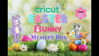NEW Cricut Easter Bunny Mystery Box w/ RARE Cutie