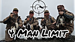 4 Man Limit on Public Refuge! CA Duck Hunt 01-08-2020