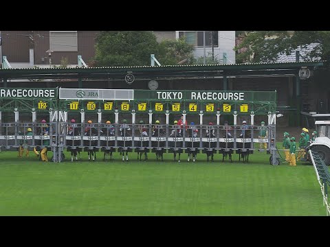 2020 Tenno Sho-Autumn (G1)