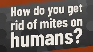 How do you get rid of mites on humans?