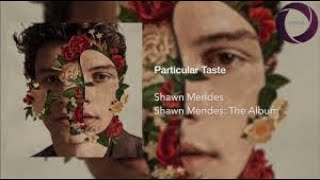 Dario wonders - ( particular taste ) ft.Shawn mendes