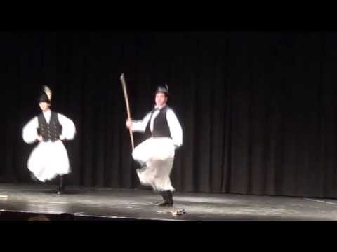 Múth Ádám: Somogyi kanász