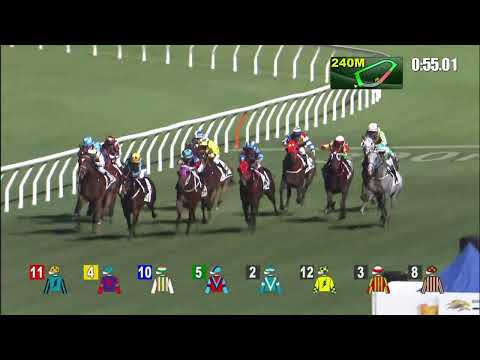 高耀智星21/12/22……(273)第三塲四班1200米