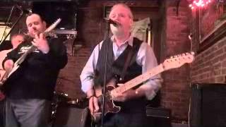 THE SNAKEHANDLERS BLUES BAND