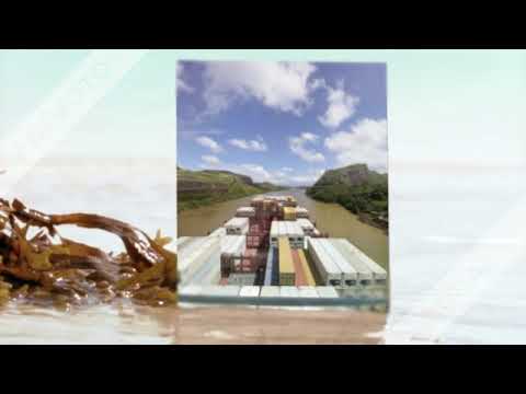 ISTITUTO TECNICO NAUTICO NINO BIXIO - BORSA DI STUDIO MSC 2019 PANAMA