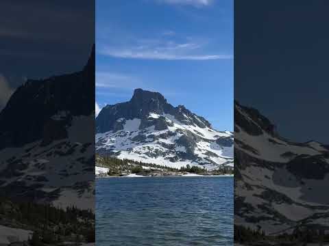 This place is amazing.