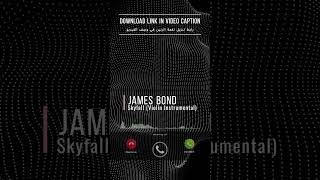 Download lagu James Bond -Skyfall (Violin Instrumental) mp3 Download lagu James Bond -Skyfall (Violin Instrumental) mp3