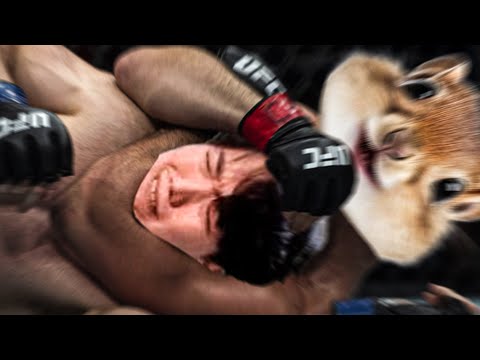 생태계 교란종 다람쥐