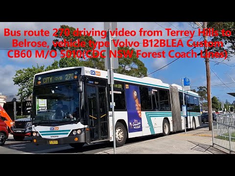 [4K] CDC NSW FCL Volvo B12BLEA Custom CB60 M/O 5010 driving video from TH to Belrose(Route 270)