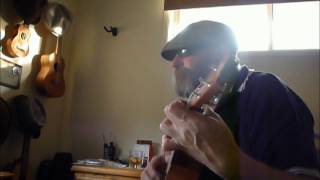 Free Country Seasick Steve ukulele cover