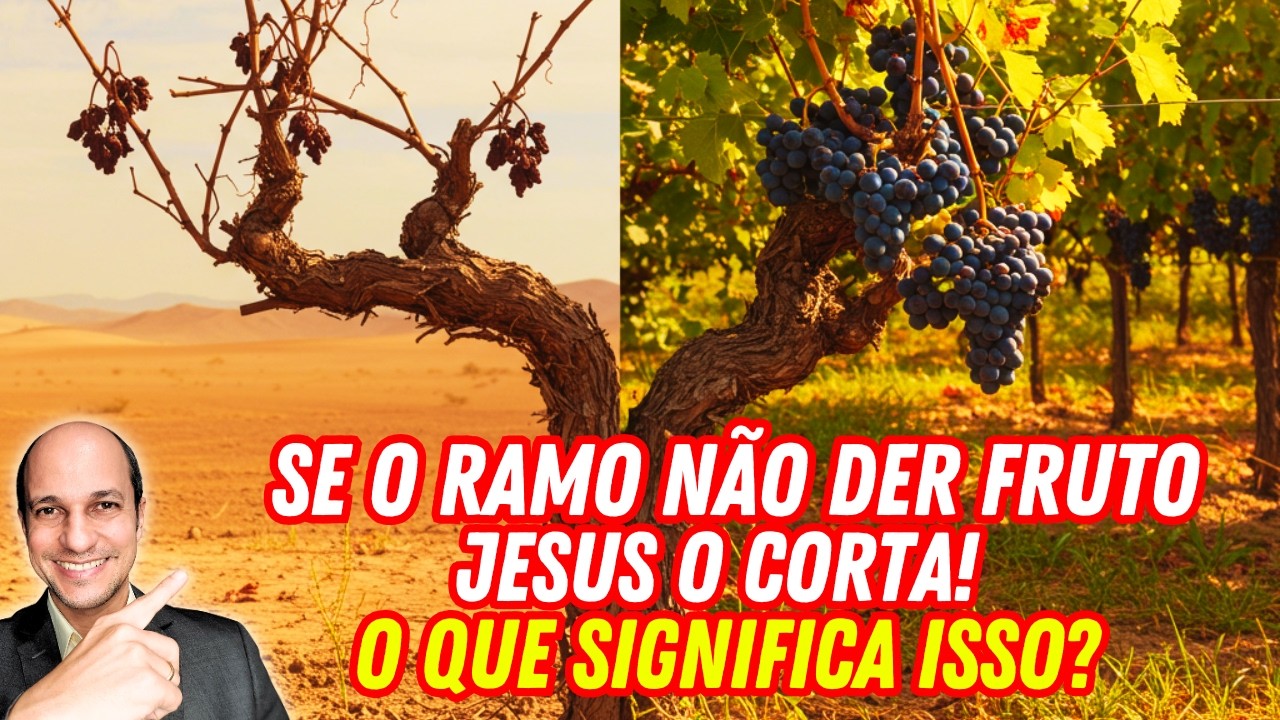 O REAL SIGNIFICADO DE "CORTAR" E "LIMPAR" NA PARÁBOLA DA VIDEIRA VERDADEIRA CONTADA POR JESUS!