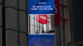 대만, 중국판 인스타그램 '샤오훙수' 1년간 사용 금지령
